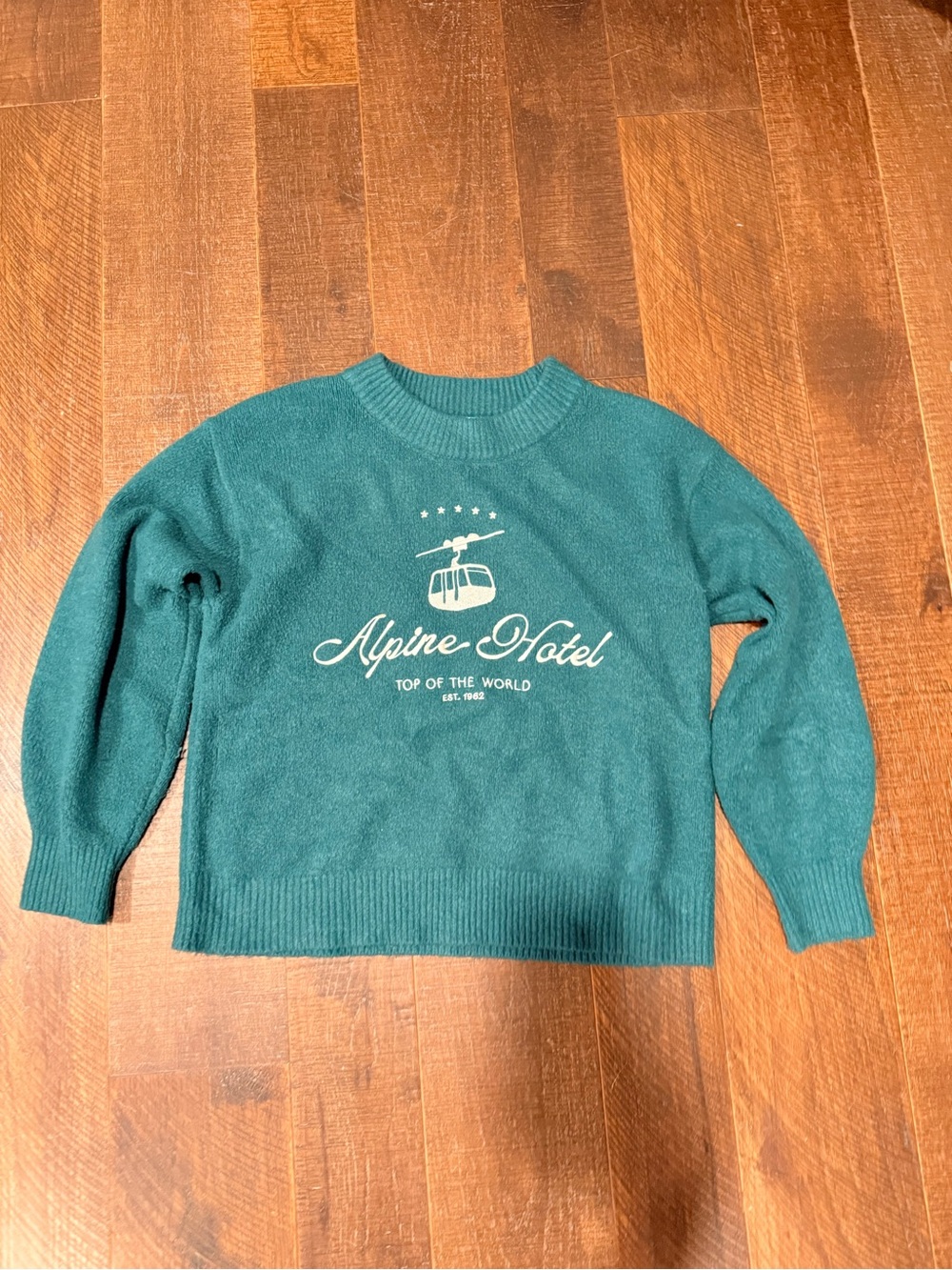 Alpine green Crewneck Sweater with Alpine Hotel Graphic Sz L